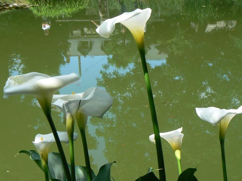 Вілла Fermette Dans Les Pays De La Loire Ize Екстер'єр фото