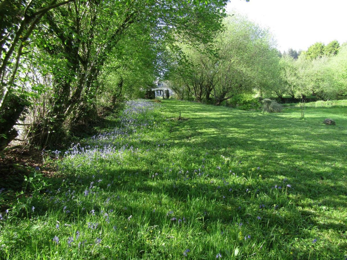 Вілла Fermette Dans Les Pays De La Loire Ize Екстер'єр фото